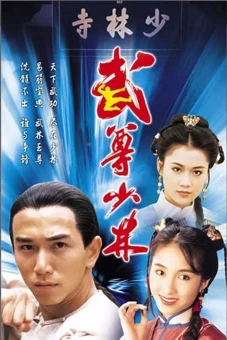 Lò Võ Thiếu Lâm (The Heroes From Shaolin)