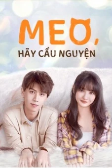 Meo, Hãy Cầu Nguyện (Make a wish)