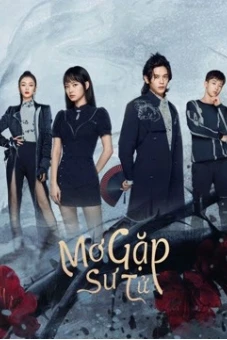 Mơ Gặp Sư Tử (Out of the dream)