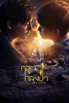 Mùa Lạc Trong Rừng (Lost in the Woods)