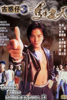 Người trong giang hồ 3: Một tay che trời (Young & Dangerous 3)