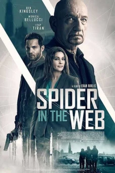 Nhện trong mạng (Spider in the Web)