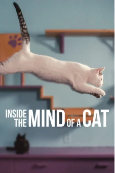 Những chú mèo nghĩ gì (Inside the Mind of a Cat)