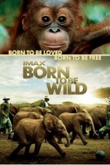 Những Loài Vật Mồ Côi (Born to Be Wild)