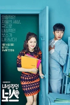Ông Chủ Bí Ẩn (Introverted Boss)