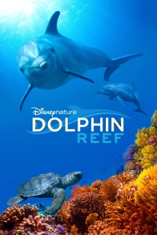 Rạn San Hô Cá Heo (Dolphin Reef)
