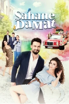 Sahane Damat (Perfect Groom)