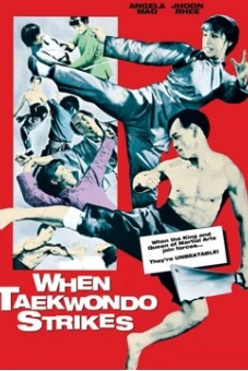 Taekwondo Chấn Cửu Châu (When Taekwondo Strikes)