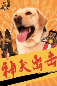Thần chó tấn công (God dog attack)