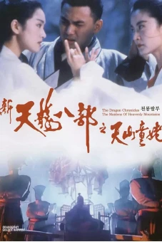 Thiên long bát bộ - Thiên sơn đồng lão (The Dragon Chronicles - The Maidens of Heavenly Mountain)