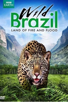 Thiên Nhiên Brazil Hoang Dã (Wild Brazil)