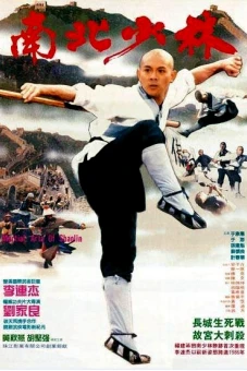 Thiếu Lâm Tự 3: Nam Bắc Thiếu Lâm (Shaolin Temple 3: Martial Arts of Shaolin)