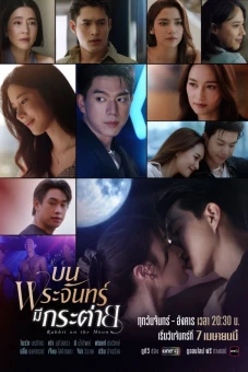 Thỏ Ngọc Nơi Cung Trăng (Rabbit on the Moon)