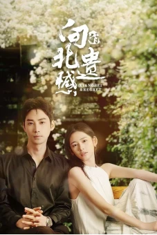 Tiếc Nuối Của Hướng Bắc (Xiangbei Regret)
