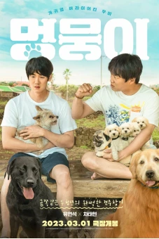 Tìm Nhà Cho Boss (My Heart Puppy)