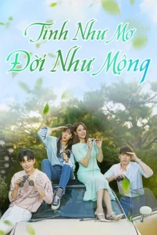 Tình Như Mơ Đời Như Mộng (Beautifull Love, Wonderful Life)