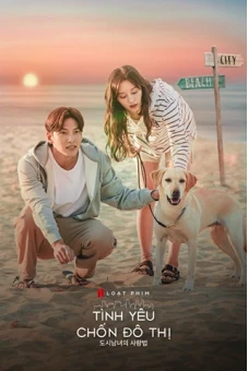 Tình Yêu Chốn Đô Thị (Lovestruck in the City)