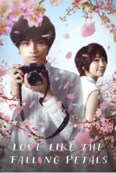 Tình yêu như cánh hoa rơi (Love Like the Falling Petals)