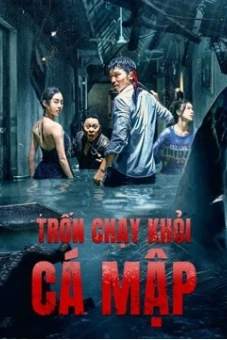 Trốn Chạy Khỏi Cá Mập (Escape of Shark)
