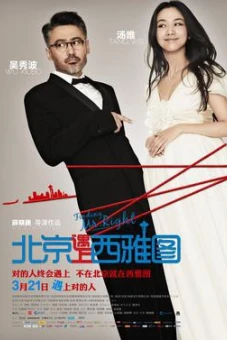 Truy tìm người hoàn hảo (Finding Mr. Right)