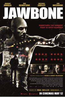 Võ Sĩ Quyền Anh (Cinderella Man)