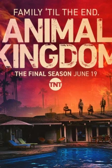 Vương quốc động vật (Phần 6) (Animal Kingdom (Season 6))