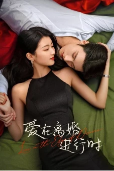 Yêu Khi Sắp Ly Hôn (Love in the Edge of Divorce)