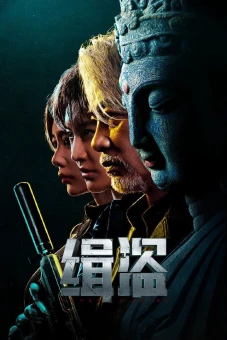 Truy Bắt Đạo Tặc (Never a Thief)