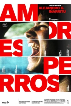 Kẻ Vô Đạo (Amores Perros)