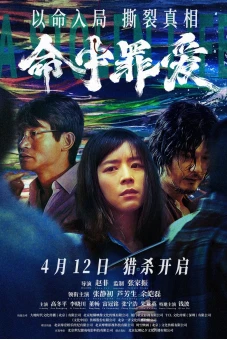 Định Mệnh Tình Yêu (A Stolen Life)