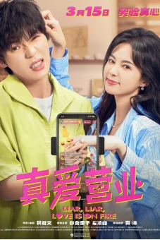 Kinh Doanh Tình Yêu (Liar, Liar, Love is on Fire)