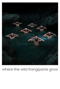 Nơi hoa sứ dại mọc (Where the Wild Frangipanis Grow)