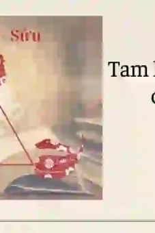 Tuổi tam hợp là gì? Cách chọn người hợp để phát tài