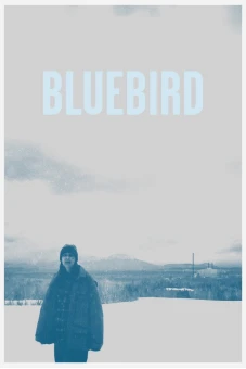 Bluebird