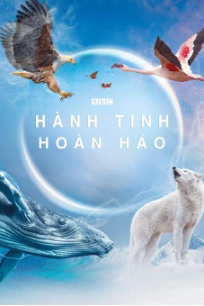 Hành Tinh Hoàn Hảo (A Perfect Planet)