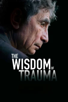 Sự Khôn Ngoan Từ Tổn Thương (The Wisdom of Trauma)