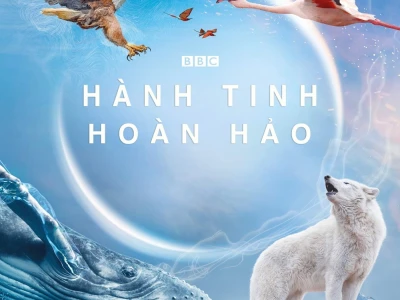 Hành Tinh Hoàn Hảo (A Perfect Planet)