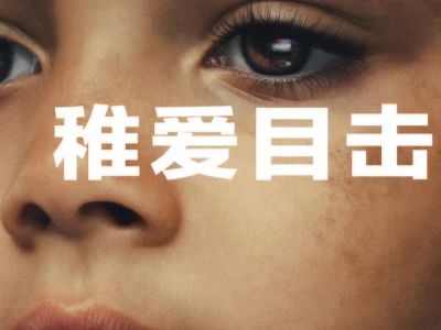 Nhân Chứng Duy Nhất (The Witness)
