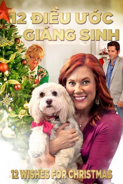 12 Điều Ước Giáng Sinh (12 Wishes For Christmas)