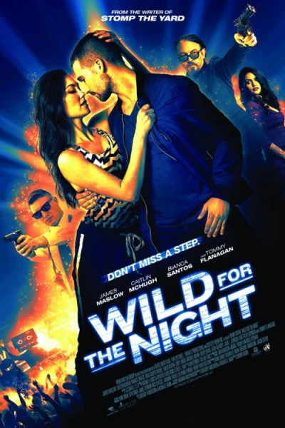 48 Giờ Sinh Tử (48 Hours To Live - Wild For The Night)