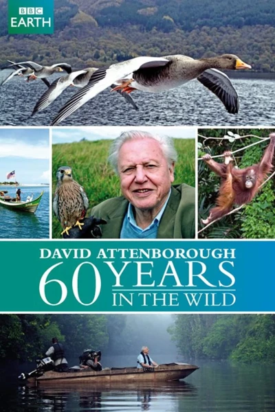 60 Năm Trong Hoang Dã (Attenborough: 60 Years In The Wild)