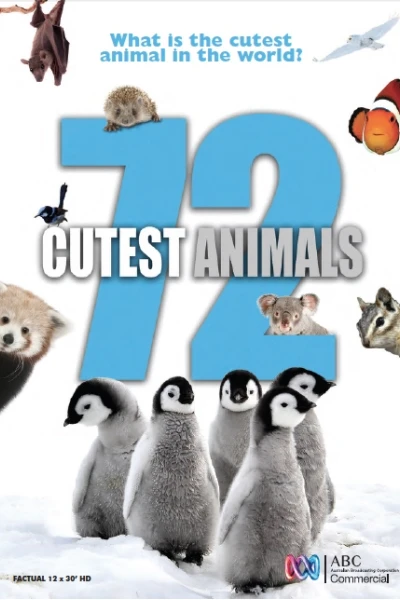 72 loài động vật dễ thương nhất (72 Cutest Animals)