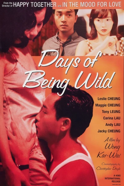 A Phi Chính Truyện (Days of Being Wild)