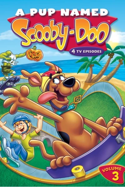 A Pup Named Scooby-Doo (Phần 3) (A Pup Named Scooby-Doo (Season 3))