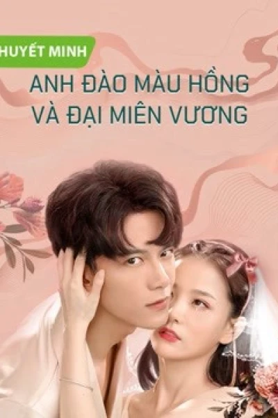 Anh Đào Màu Hồng và Đại Miên Vương (Why Women Cheat (Vietnamese Ver.))