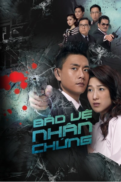 Bảo Vệ Nhân Chứng (Witness Insecurity )