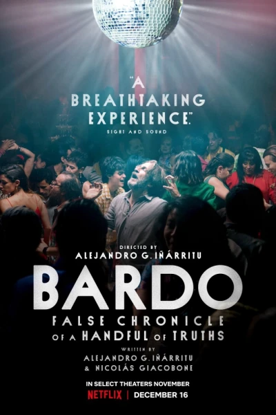 BARDO, ký sự giả về đôi chút sự thật (BARDO, False Chronicle of a Handful of Truths)