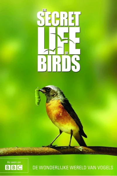Bí ẩn cuộc sống loài chim (The Secret Life of Birds)