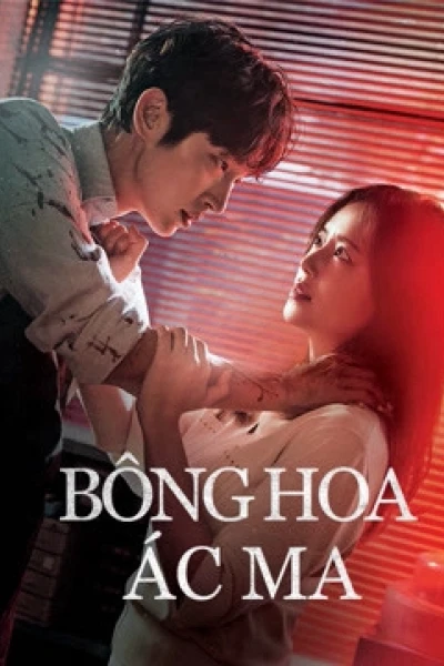 Bông Hoa Ác Ma (hoa của quỷ) (Flower of Evil)