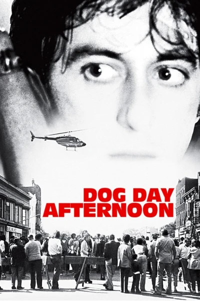 Buổi Chiều Xui Xẻo (Dog Day Afternoon)